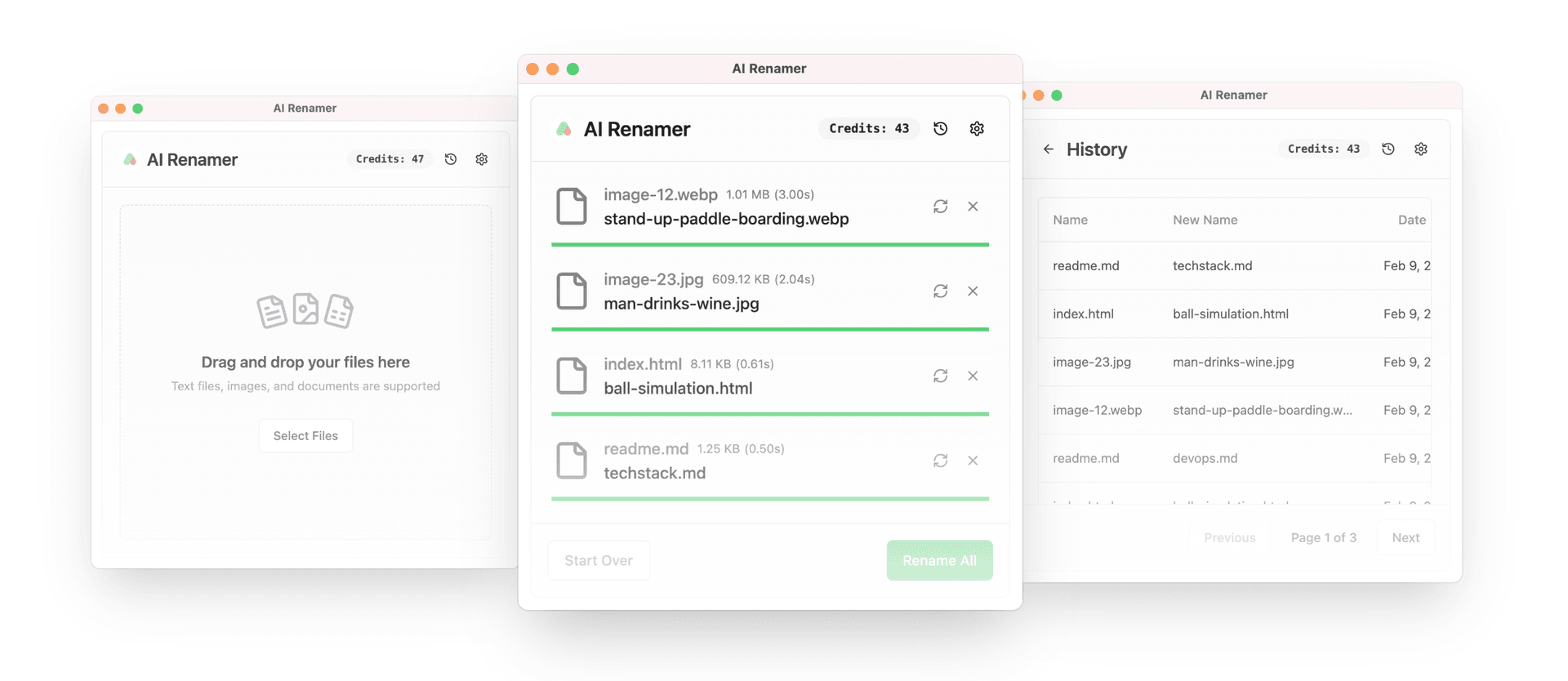 AI Renamer screenshot 1